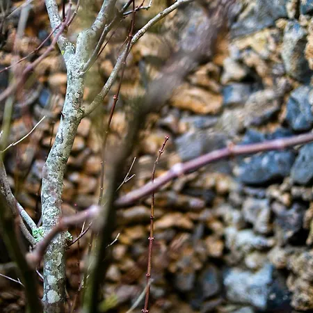 בית חווה Solar Branco Eco Estate