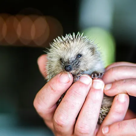 Solar Branco Eco Estate