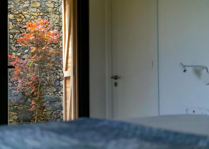 Bauernhof Solar Branco Eco Estate Ponta Delgada