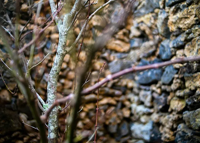 Bauernhof Solar Branco Eco Estate