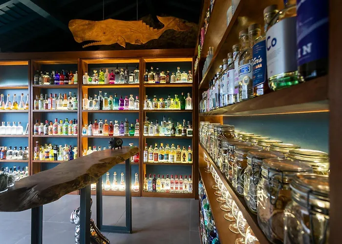 Bauernhof Solar Branco Eco Estate Ponta Delgada