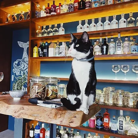 Solar Branco Eco Estate