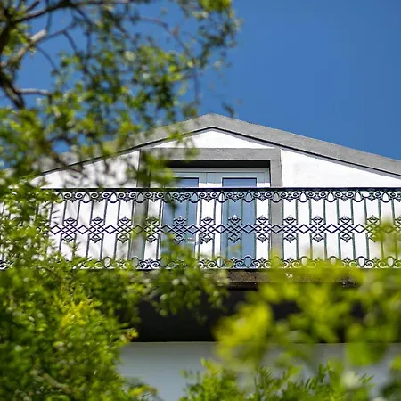 Solar Branco Eco Estate Gospodarstwo agroturystyczne