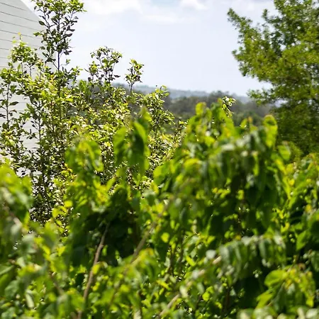 Séjour à la ferme Solar Branco Eco Estate *
