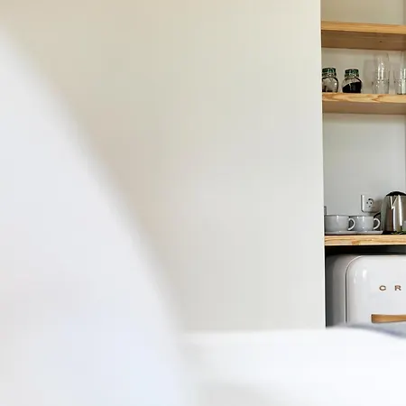 Gospodarstwo agroturystyczne Solar Branco Eco Estate Ponta Delgada