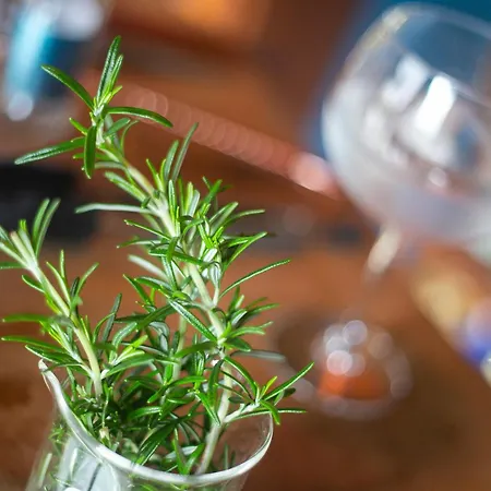 Solar Branco Eco Estate *