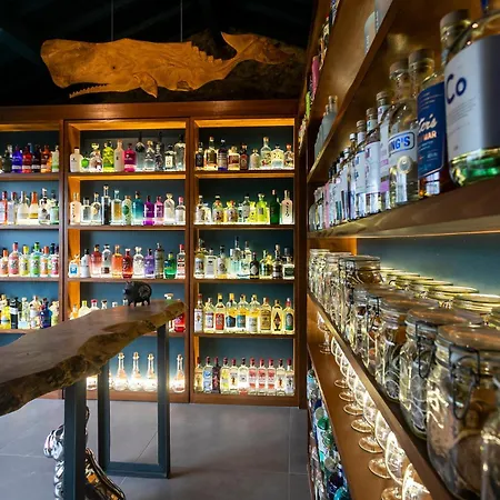 Gospodarstwo agroturystyczne Solar Branco Eco Estate Ponta Delgada