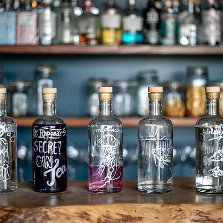 Solar Branco Eco Estate Gospodarstwo agroturystyczne Ponta Delgada