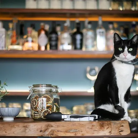 Solar Branco Eco Estate *