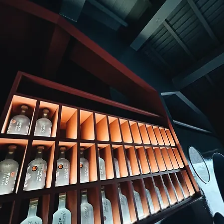 Solar Branco Eco Estate Gospodarstwo agroturystyczne