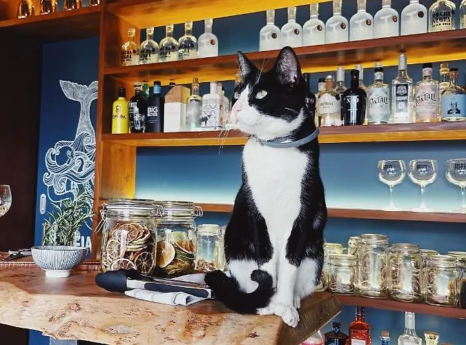 Solar Branco Eco Estate