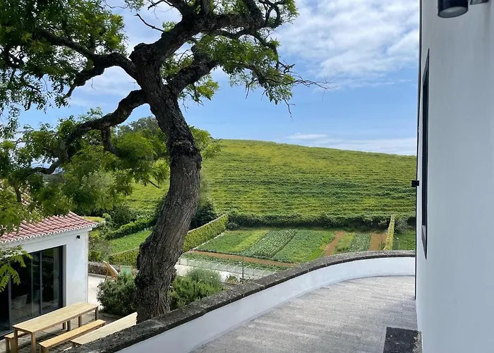 Solar Branco Eco Estate 农家乐 *