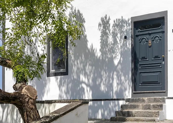 Solar Branco Eco Estate Gospodarstwo agroturystyczne