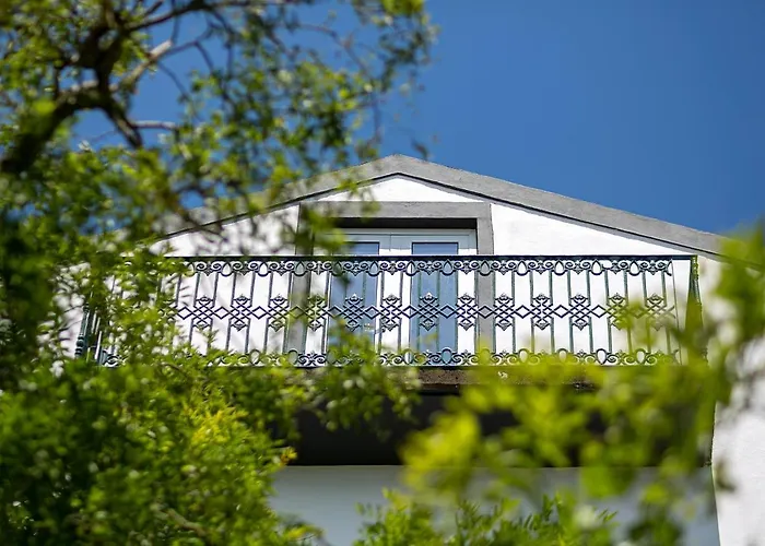 Solar Branco Eco Estate Gospodarstwo agroturystyczne