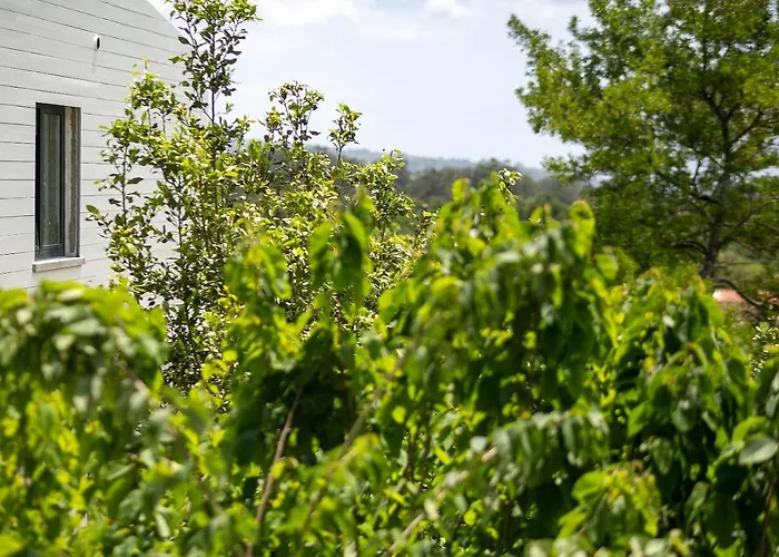 Gospodarstwo agroturystyczne Solar Branco Eco Estate *