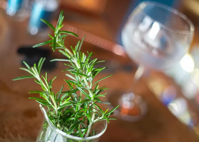 Solar Branco Eco Estate *