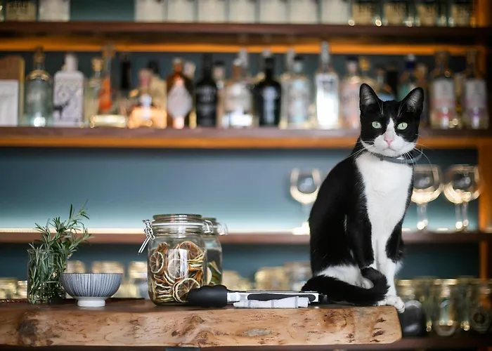 Solar Branco Eco Estate *