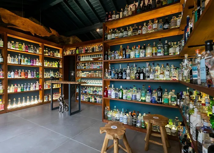 Gospodarstwo agroturystyczne Solar Branco Eco Estate