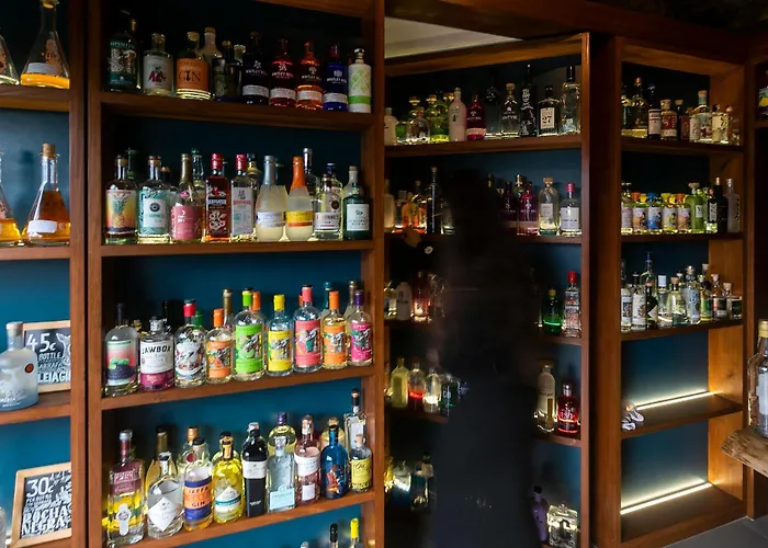 Solar Branco Eco Estate Farm stay *