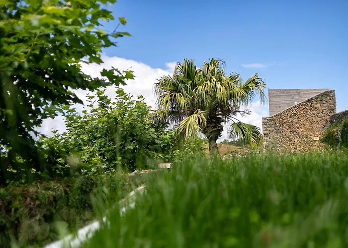 Farm stay Solar Branco Eco Estate Ponta Delgada (Sao Miguel)